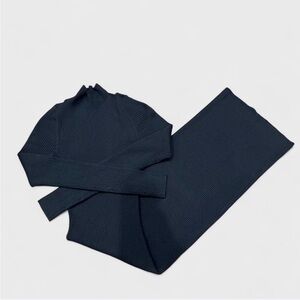 aritzia (babaton) ribbed turtleneck bodycon long sleeve midi dress